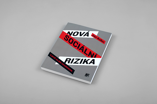 Nová sociální rizika